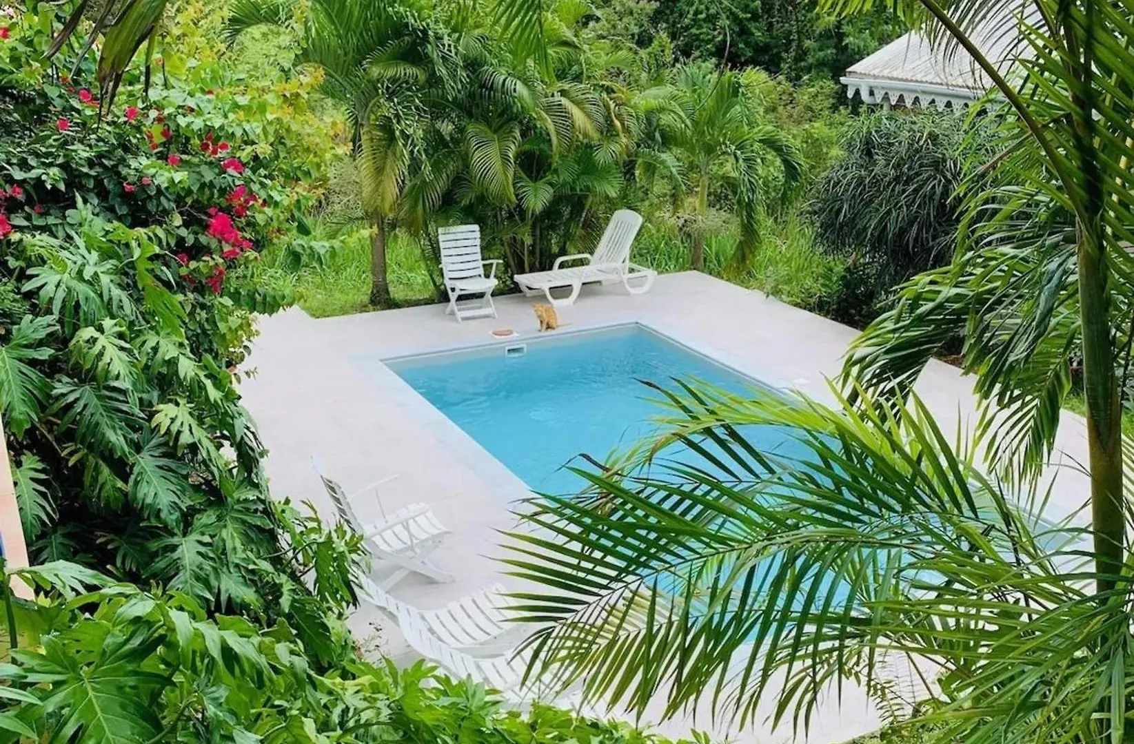 Bungalow Accueillant A Le Diamant Avec Piscine Partagee Hébergement de vacances